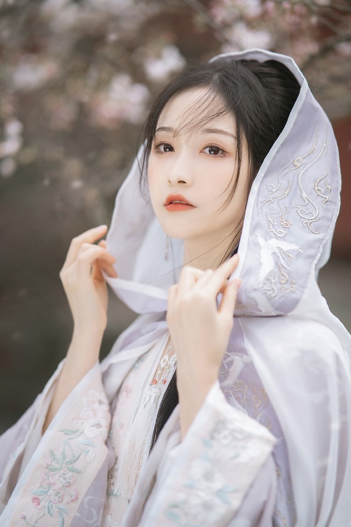 甄嬛传 封面