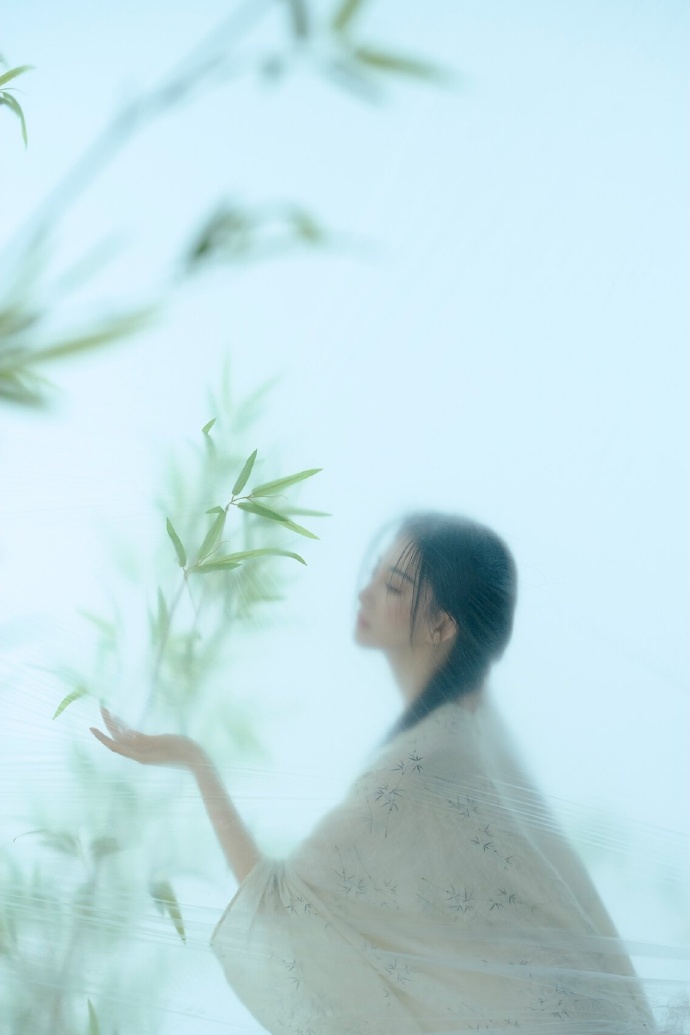 七号房的礼物 封面